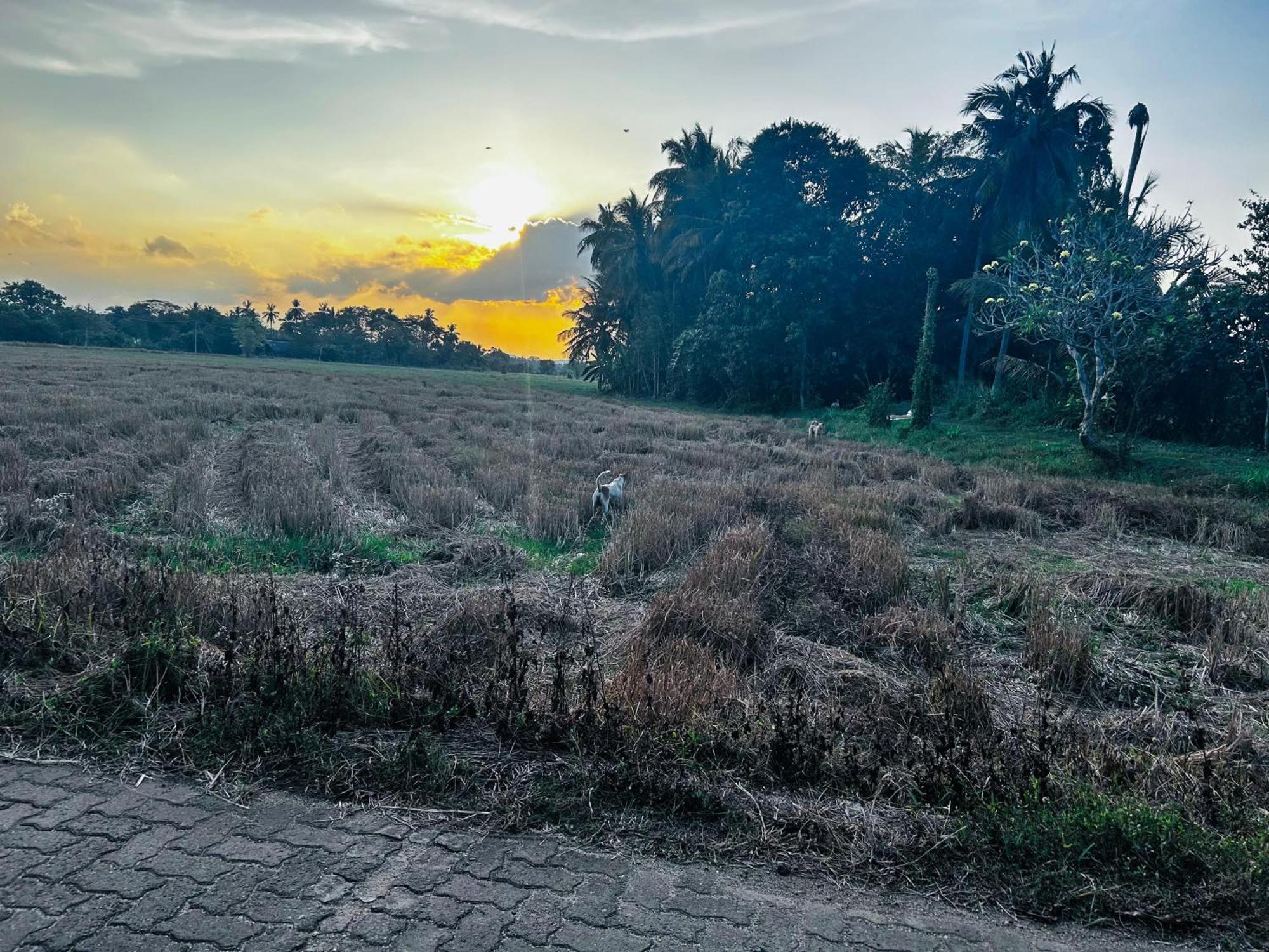 Windy Holiday home Polonnaruwa